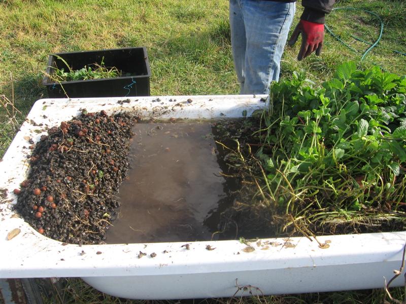 IMG_4931 (Medium).JPG