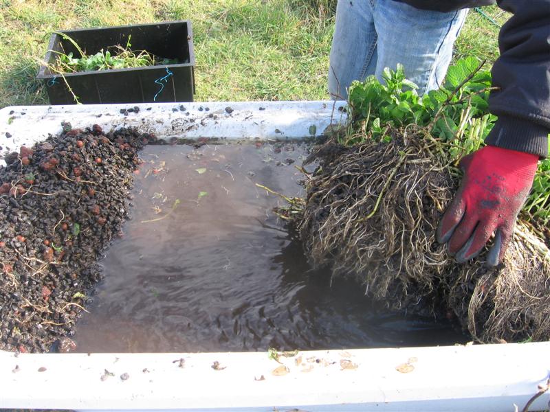 IMG_4930 (Medium).JPG