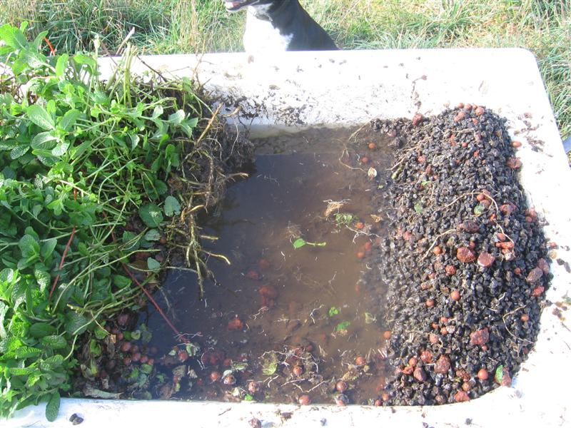 IMG_4928 (Medium).JPG