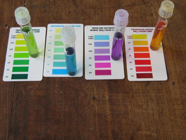 IMG_2682 (Small).jpg