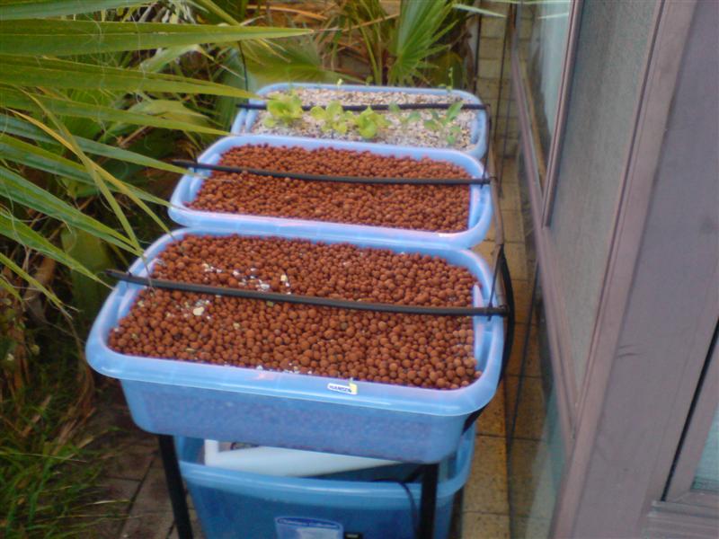 DSC00361 (Medium).jpg