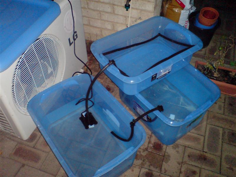 DSC00343 (Medium).jpg