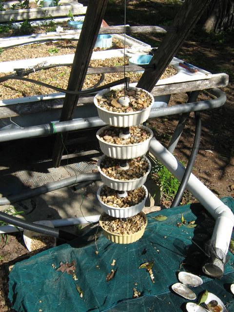 IMG_2679 (Small).jpg