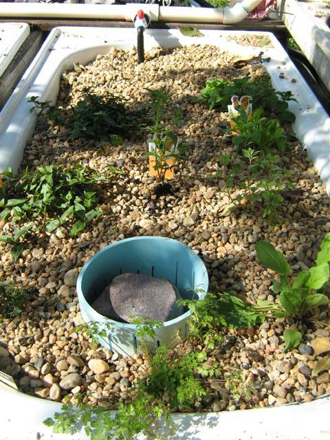 IMG_2676 (Small).jpg