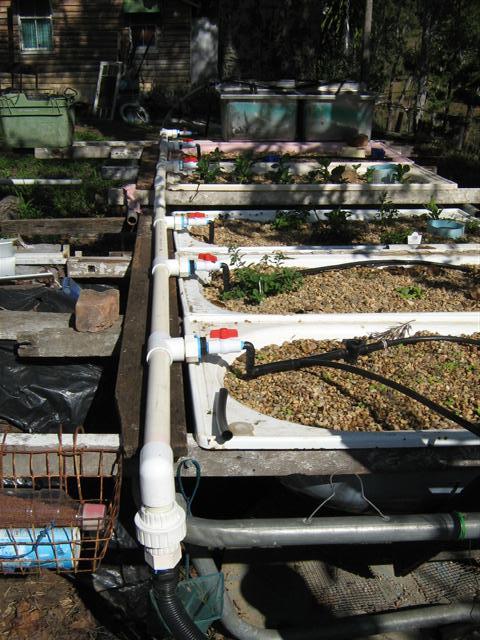 IMG_2678 (Small).jpg