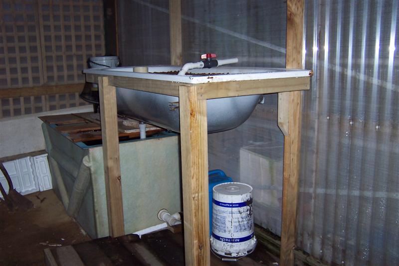 Plant growth ,and new external grow bed. 001 (Medium).jpg