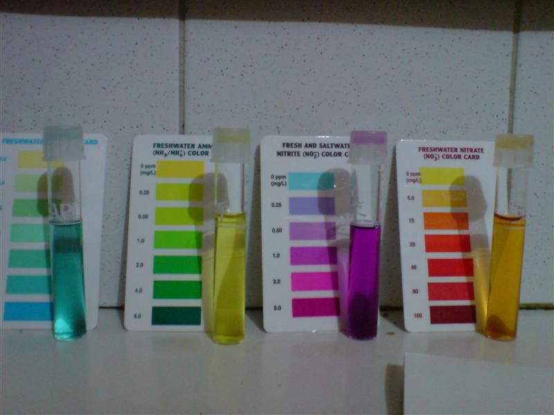 DSC00008 (1) (Medium).jpg