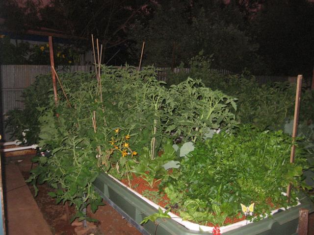 MMN 001 (Small) (2).jpg