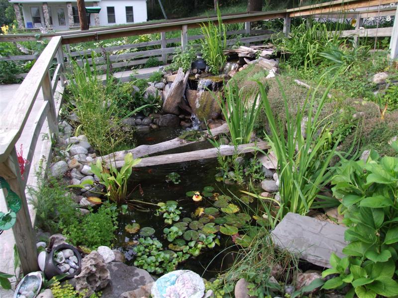 pre adjustment (Medium).JPG