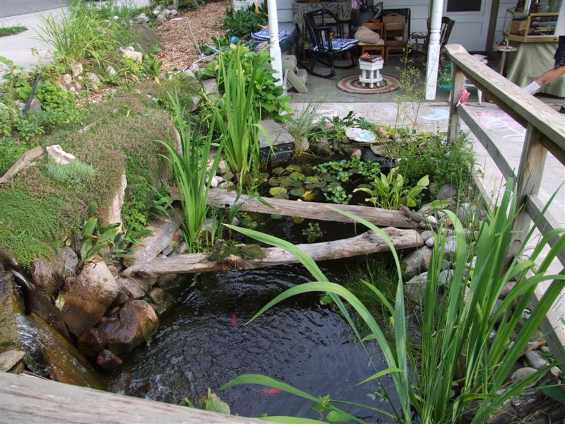 dark green under water (Medium).JPG