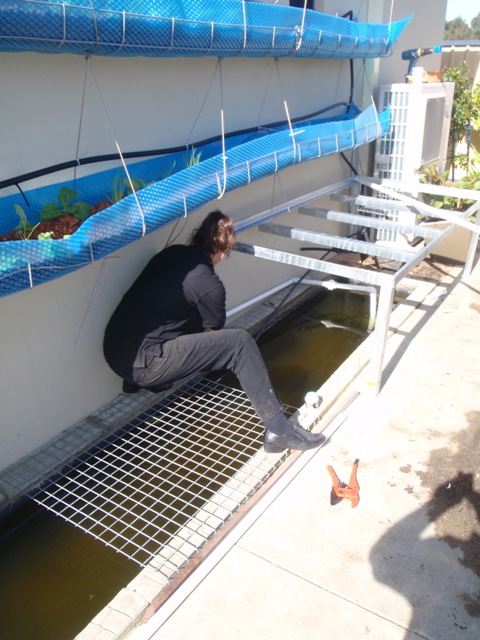 The trout channel.JPG