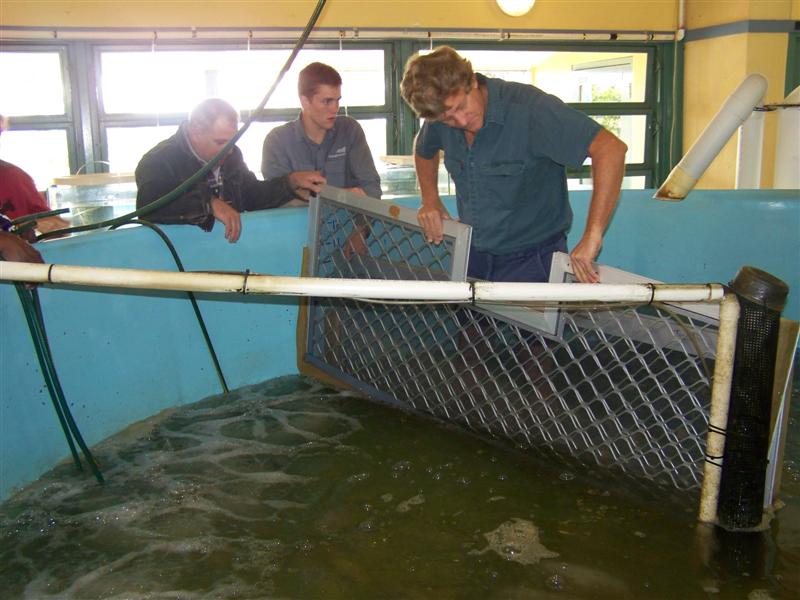 100_0608 (Medium).JPG