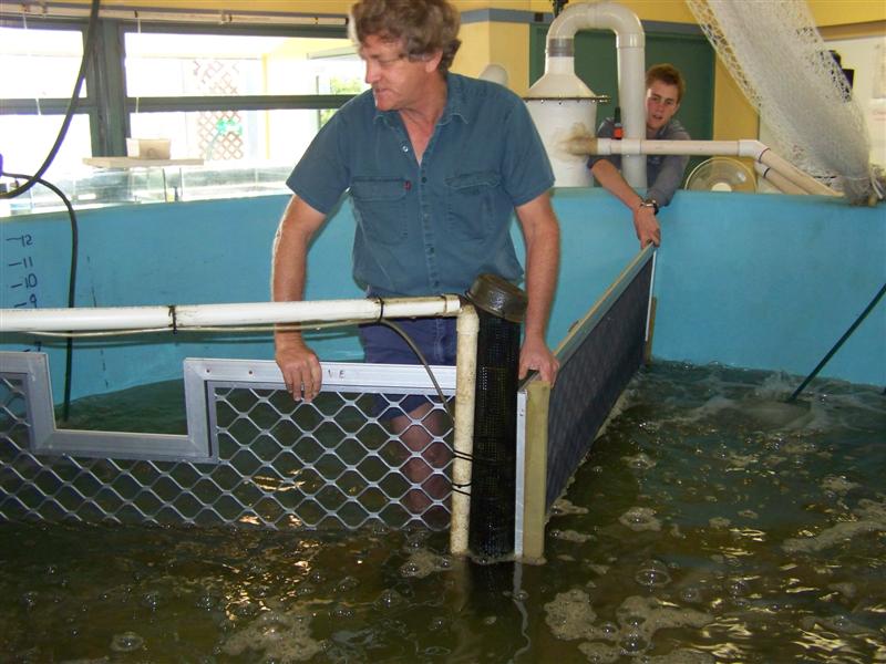 100_0610 (Medium).JPG