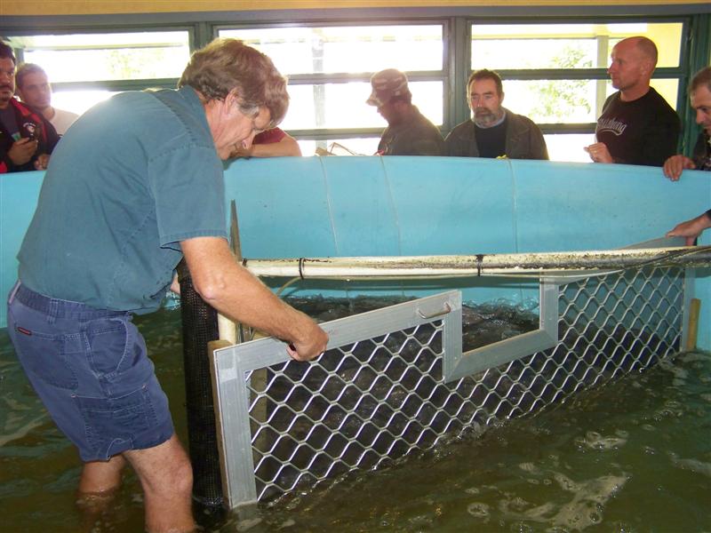 100_0615 (Medium).JPG