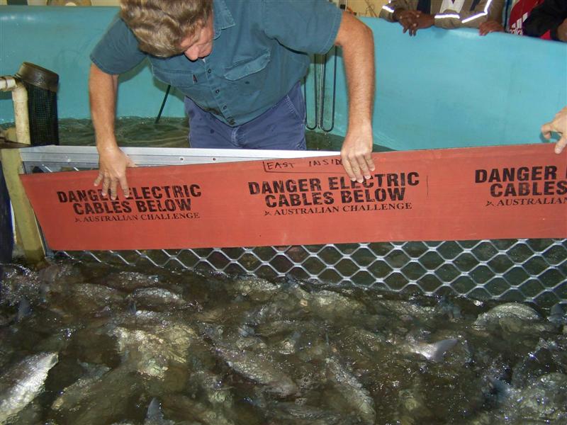 100_0618 (Medium).JPG