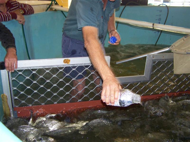 100_0620 (Medium).JPG