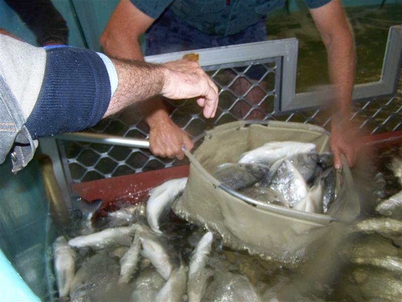 100_0625 (Medium).JPG