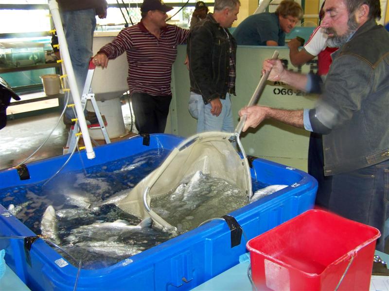 100_0626 (Medium).JPG