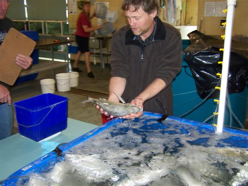 100_0633 (Medium).JPG