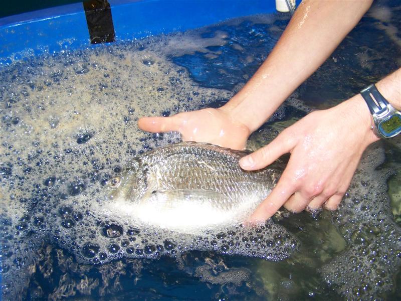 100_0638 (Medium).JPG