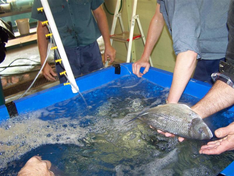 100_0640 (Medium).JPG