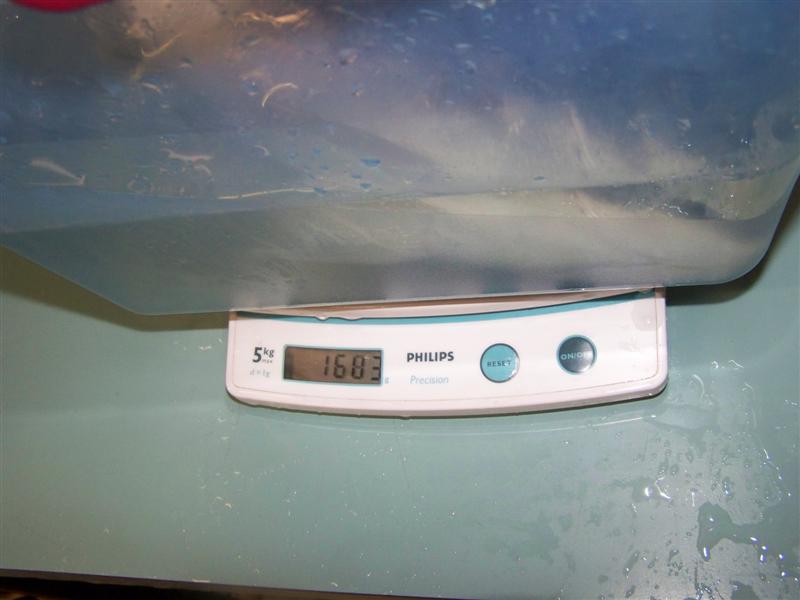 100_0643 (Medium).JPG