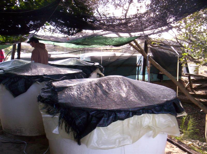 106_3618 (Medium).JPG