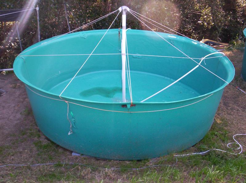 106_3634 (Medium).JPG