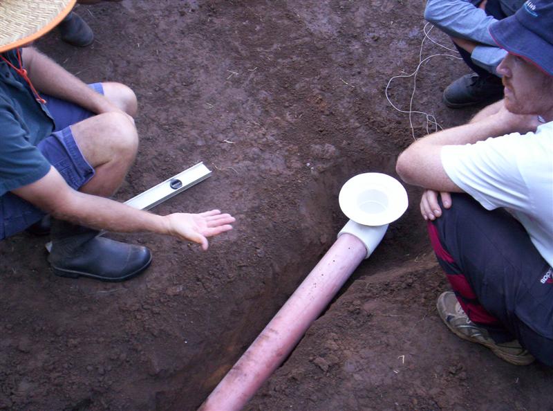 106_3643 (Medium).JPG