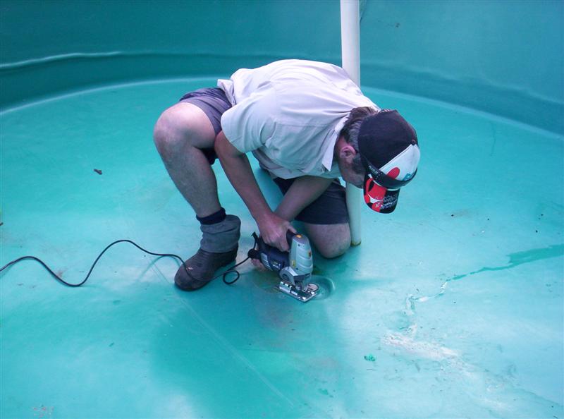 106_3652 (Medium).JPG