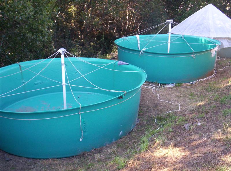 106_3678 (Medium).JPG