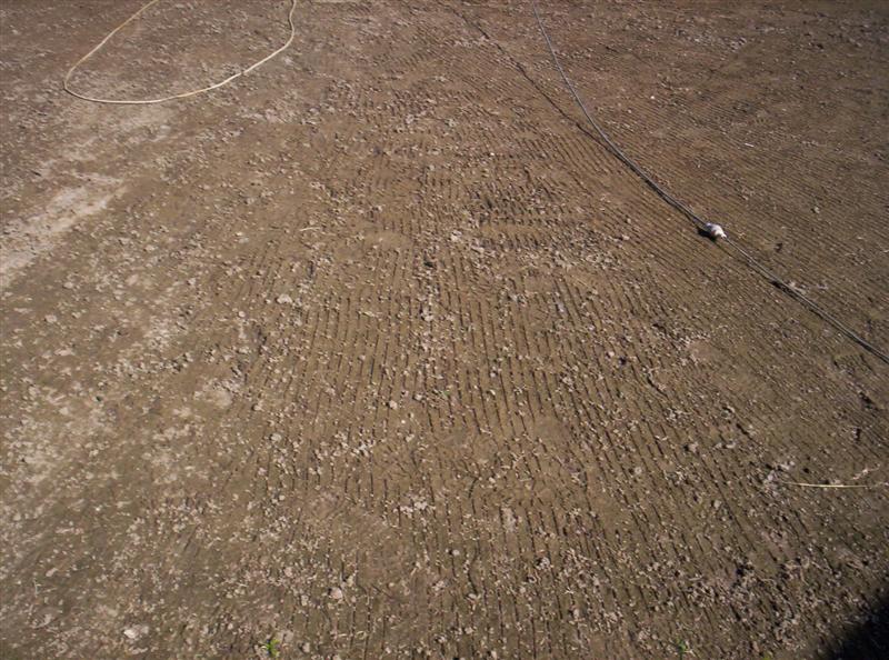 106_3659 (Medium).JPG