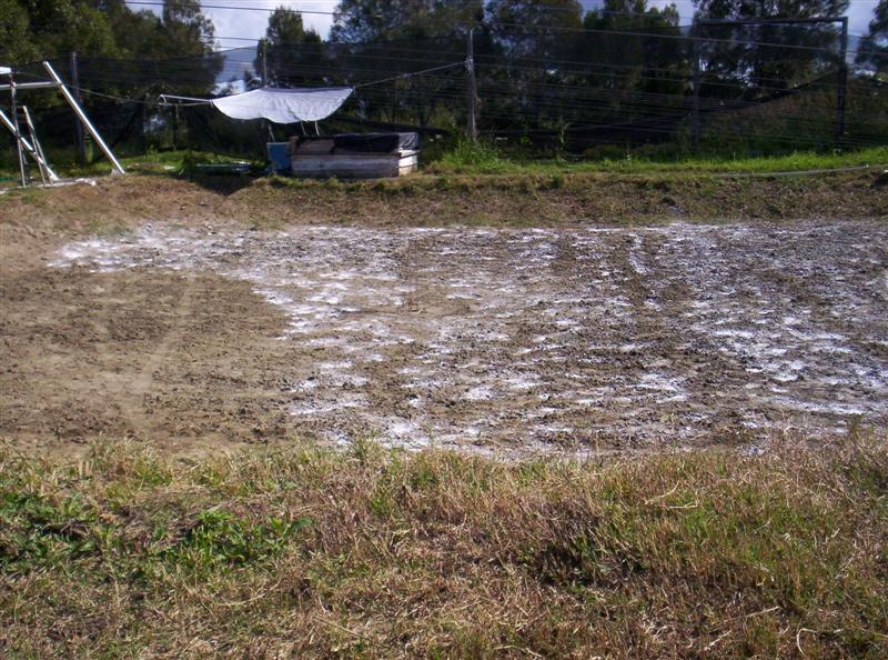 106_3668 (Medium).JPG