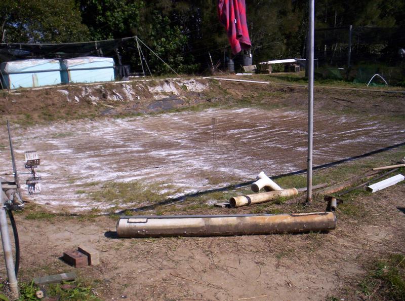 106_3669 (Medium).JPG