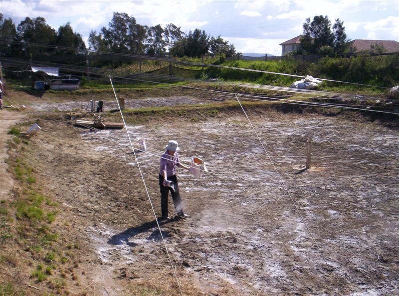 106_3673 (Medium).JPG