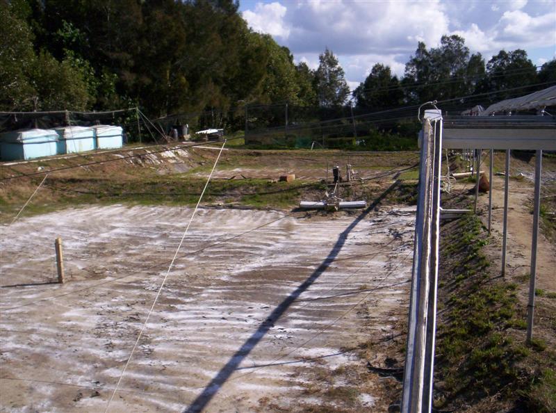 106_3674 (Medium).JPG