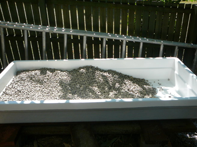 grow bed start half full.jpg