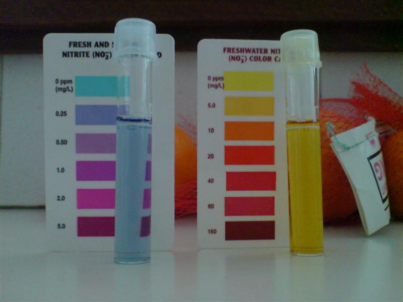 DSC00010 (Medium).jpg