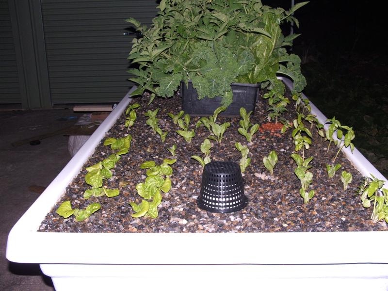 DSCF2772 (Medium).JPG