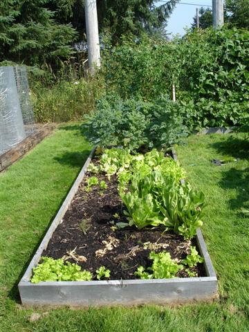 DSC02537 (Small).JPG