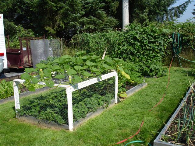 DSC02539 (Small).JPG