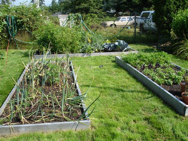 DSC02542 (Small).JPG