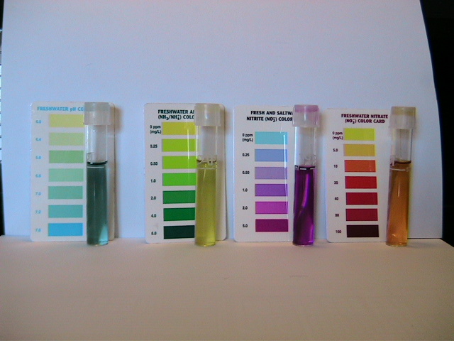 MyBarrelPonics 024.jpg