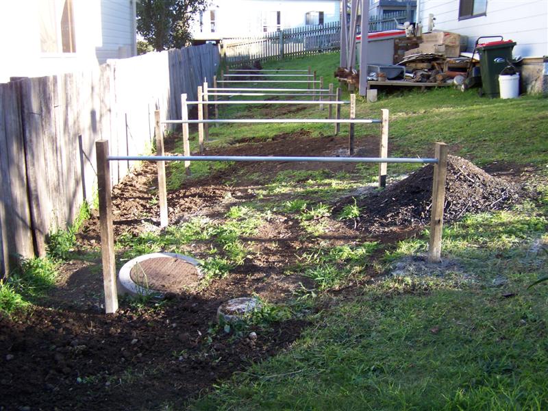 107_0722 (Medium).JPG