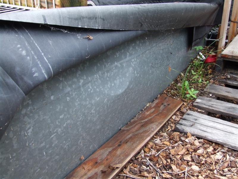 DSCF3504 (Medium).JPG