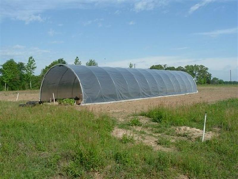 600_greenhouse_100 (Medium).jpg