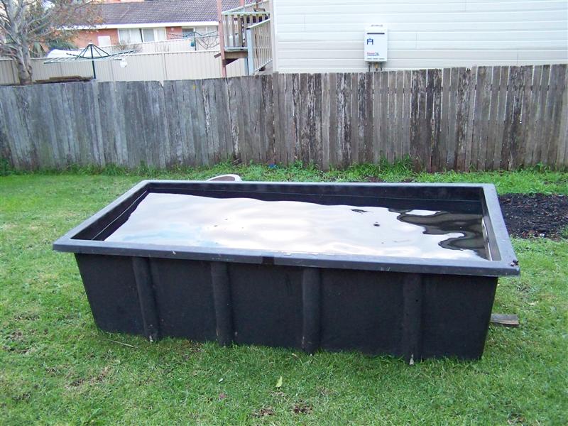 107_0022 (Medium).JPG