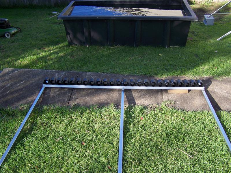 107_0127 (Medium).JPG