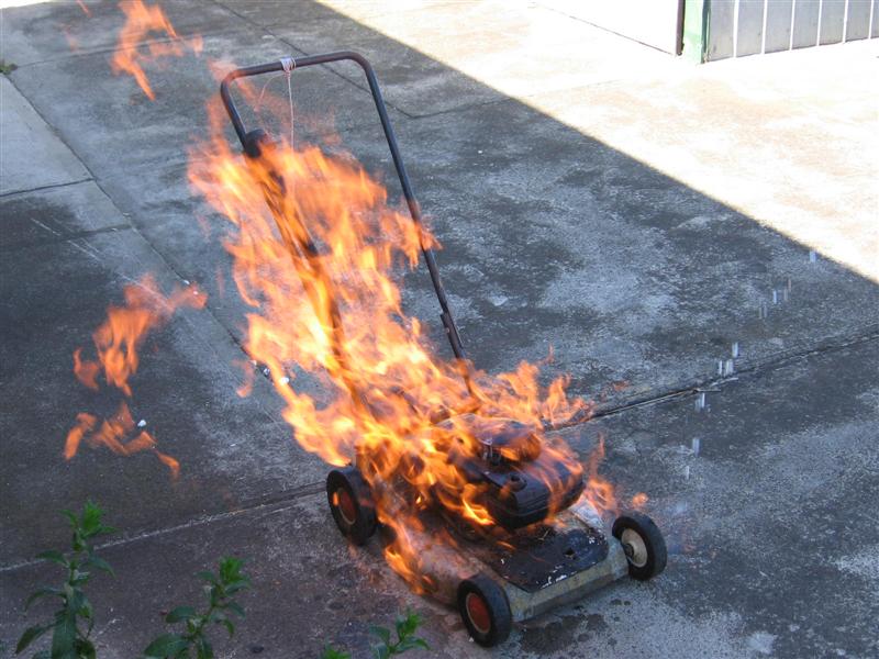 fire 006 (Medium).jpg