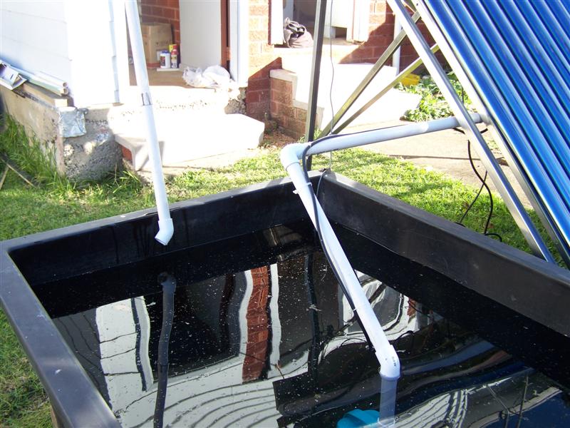 107_0424 (Medium).JPG